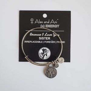 Alex & Ani Sister Bangle